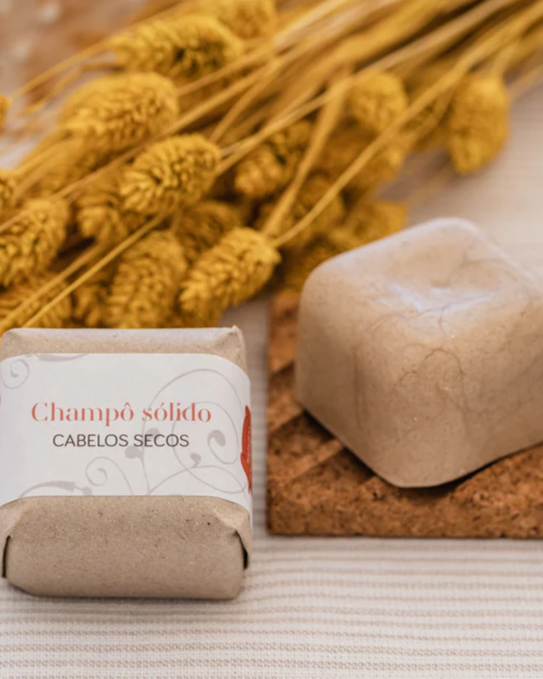 Champô sólido | Cabelo seco