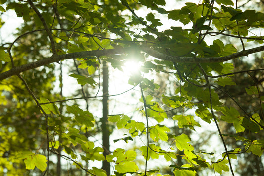 Receita de Óleo Respiração Consciente
